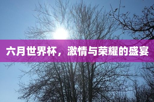 lulan 第6页