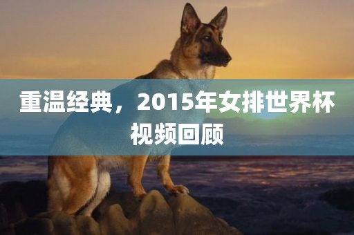 重温经典，2015年女排世界杯视频回顾