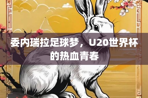 委内瑞拉足球梦，U20世界杯的热血青春