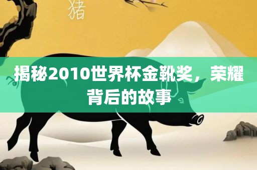 揭秘2010世界杯金靴奖，荣耀背后的故事