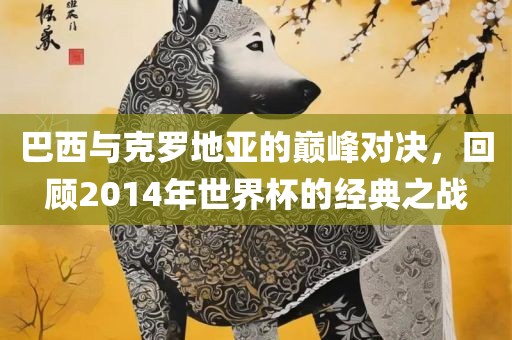 眉山市正发家政服务有限公司巴西与克罗地亚的巅峰对决，回顾2014年世界杯的经典之战