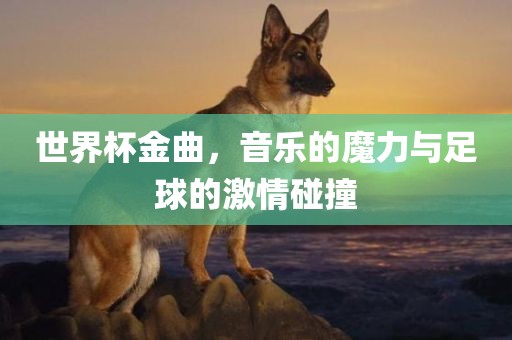 世界杯金曲，音乐的魔力与眉山市正发家政服务有限公司足球的激情碰撞