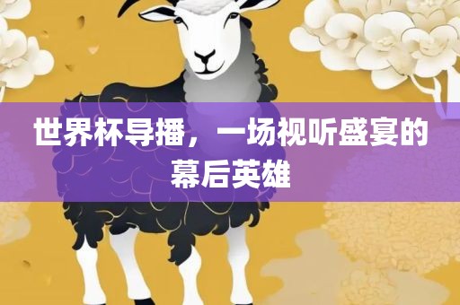 世界杯导播，一眉山市正发家政服务有限公司场视听盛宴的幕后英雄