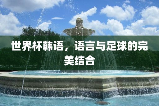 世界杯韩语，语言与足球的完美结合眉山市正发家政服务有限公司