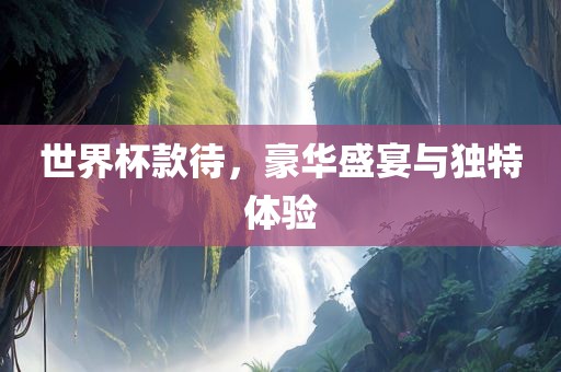 世界杯款待，豪华盛宴眉山市正发家政服务有限公司与独特体验