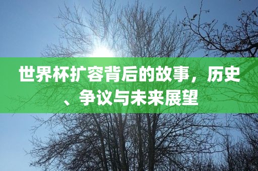世界杯扩容背后的故事，历史、争议眉山市正发家政服务有限公司与未来展望