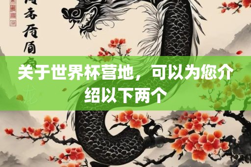 关于世界杯营地，可以为您介绍以下两个眉山市正发家政服务有限公司