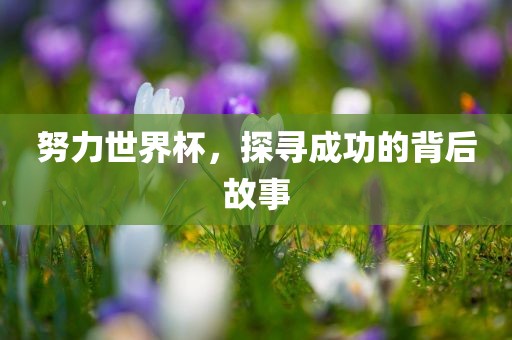 努力世界杯，探寻成功的背后故事