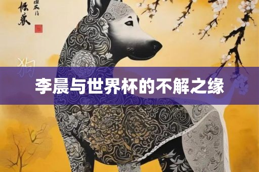 李晨与世界杯的不解之缘