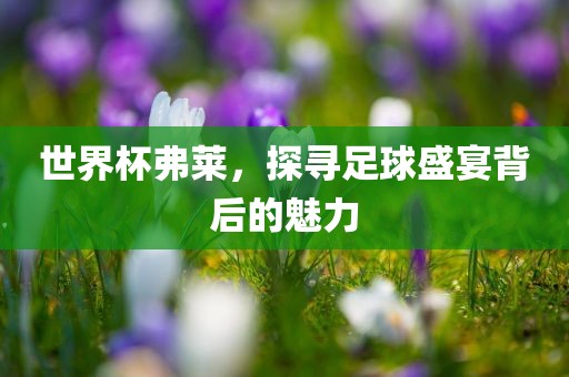 世界杯弗莱，探寻足球盛宴背后的魅力