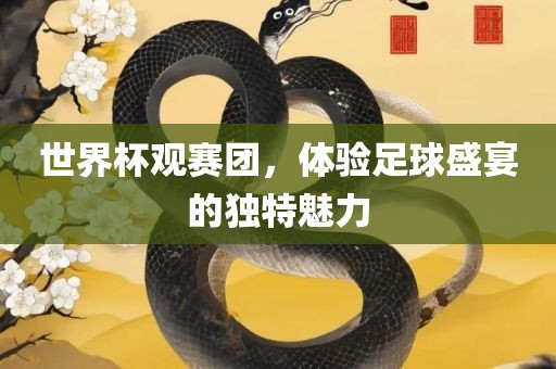 世界杯观赛团，体验足球盛宴的独特魅力