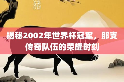 揭秘2002年世界杯冠军，那支传奇队伍的荣耀时刻眉山市正发家政服务有限公司