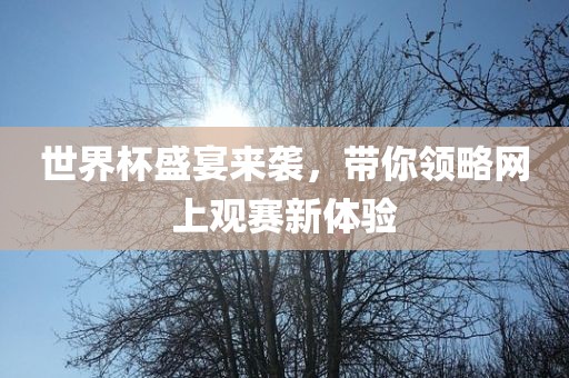 世界杯盛宴来袭，带你领略网上观赛新体验眉山市正发家政服务有限公司