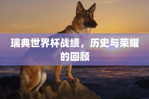 瑞典世界杯战绩，历史与荣耀的回顾