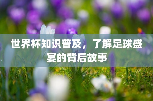 世界杯知识普及，了解足球盛宴的背后故事眉山市正发家政服务有限公司