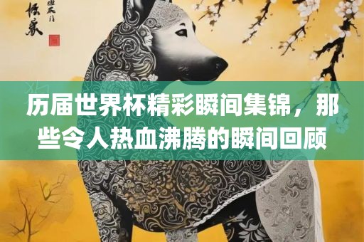 历届世界杯精彩瞬间集锦，那些令人热血沸腾的瞬间回顾