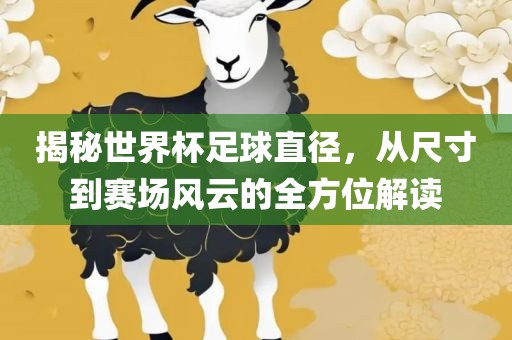 揭秘世界杯足球直径，从尺寸到赛场风云的全方位解读眉山市正发家政服务有限公司
