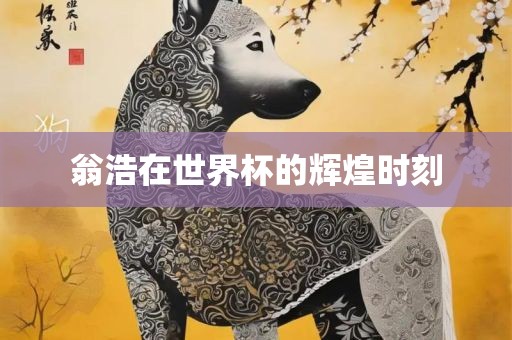翁浩在世界杯的辉煌时刻