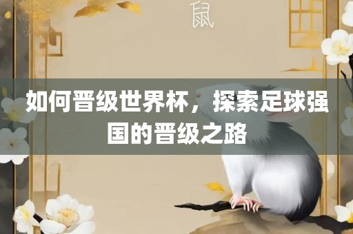 如何晋级世界杯，探索足球强国的晋级之路眉山市正发家政服务有限公司