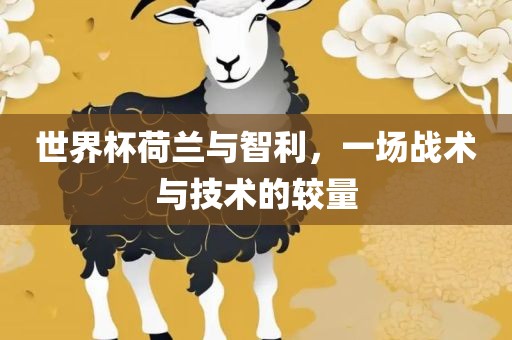 世界杯荷兰与智利，一场战术与技术的较量眉山市正发家政服务有限公司