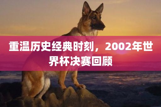 重温历史经典时刻，2002年世界杯决赛回顾眉山市正发家政服务有限公司