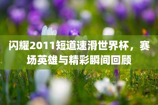 闪耀2011短道速滑世界杯，眉山市正发家政服务有限公司赛场英雄与精彩瞬间回顾