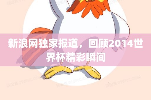 新浪网独家报道，回顾2014世界杯精彩瞬间眉山市正发家政服务有限公司