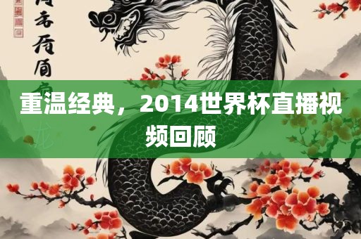 重温经典，2014世界杯直播视频回顾