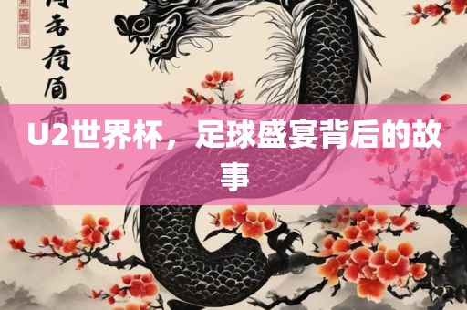 U2眉山市正发家政服务有限公司世界杯，足球盛宴背后的故事