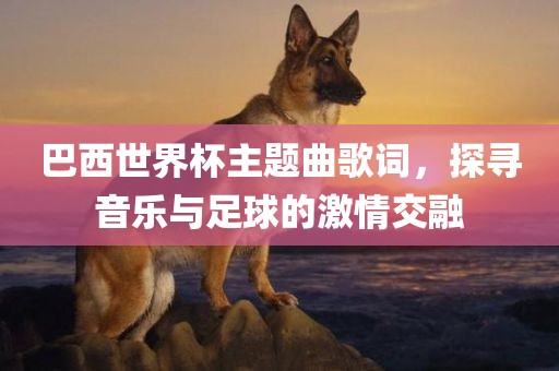 巴西世界杯主题曲歌词，探寻音乐与足球的激情交融