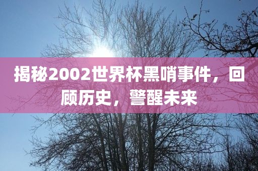 揭秘2002世界杯黑哨事件，回顾历史，警醒未来