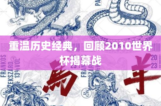 重温历史经典，回顾2010世界杯揭幕战
