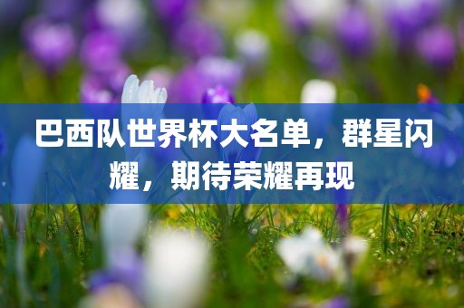 巴西队世界杯大名单，群星闪耀，期待荣耀再现