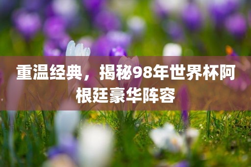 重温经典，揭秘98年世界杯阿根廷豪华阵容