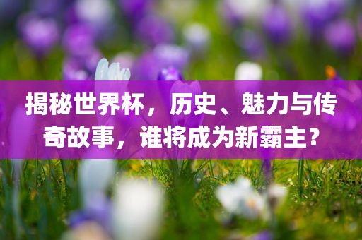 揭秘世界杯，历史、魅力与传奇故事，谁将成为新霸主？眉山市正发家政服务有限公司
