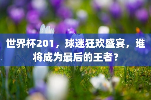 世界杯201，球迷狂欢盛宴，谁将成为最后的王者？眉山市正发家政服务有限公司