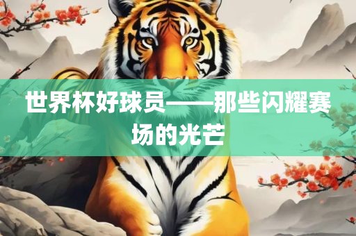 世界杯好球员——那些闪耀赛场的光芒眉山市正发家政服务有限公司