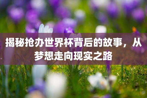 揭秘抢办世界杯背后的故事，从梦想走向现眉山市正发家政服务有限公司实之路