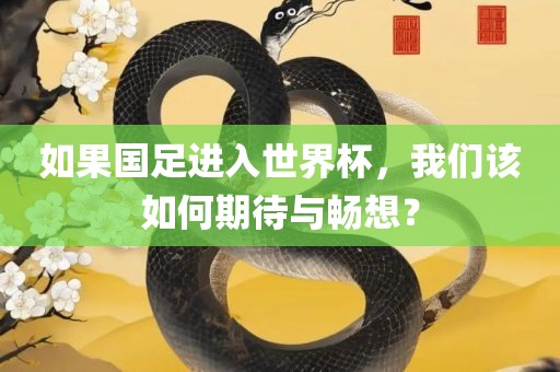 如果国足进入世界杯，我们该如何期待与畅想？