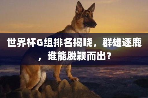 世界杯G组排名揭晓，群雄逐鹿，谁能脱颖而出？