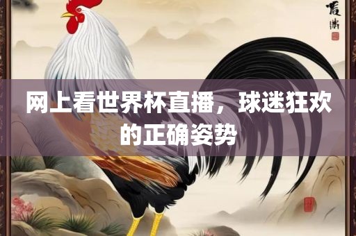 网上看世界杯直眉山市正发家政服务有限公司播，球迷狂欢的正确姿势