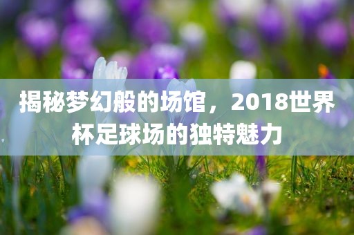 揭秘梦幻般的场馆，2018世界杯足球场的独特魅力眉山市正发家政服务有限公司