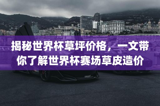 揭秘世界杯草坪价格，一文带眉山市正发家政服务有限公司你了解世界杯赛场草皮造价