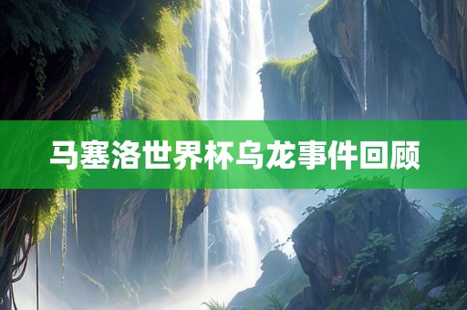 马塞洛世界杯乌龙事件回顾眉山市正发家政服务有限公司