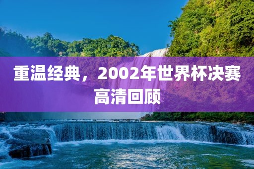 重温经典眉山市正发家政服务有限公司，2002年世界杯决赛高清回顾