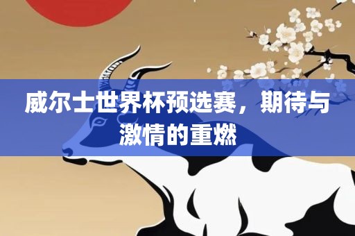 威尔士世界杯预选赛，期待与激情的重燃