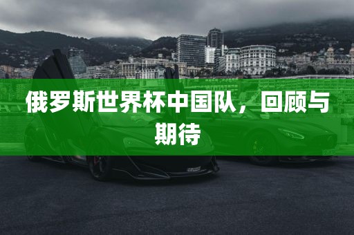 俄罗斯世界杯中国队，回顾与期待眉山市正发家政服务有限公司