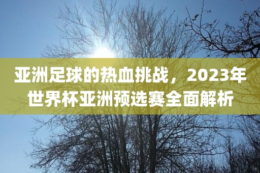 亚洲足球的热血挑战，2023年世界杯亚洲预选赛全面解析