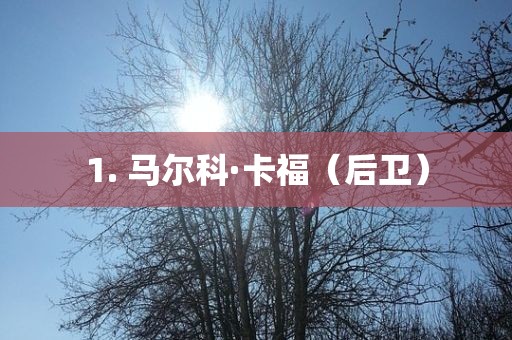 1. 马尔科·卡福（后卫）