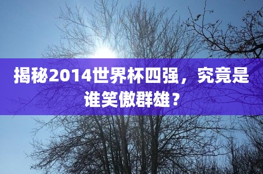 揭秘2014世界杯四强，究竟是谁笑傲群雄？